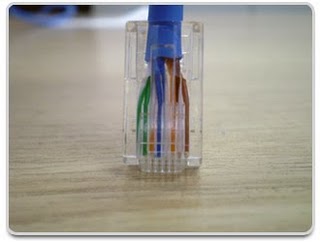 Cabo e conector após crimpagem.jpg